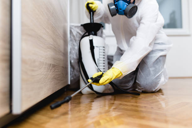 Best Ant Control Services  in Ballard, UT