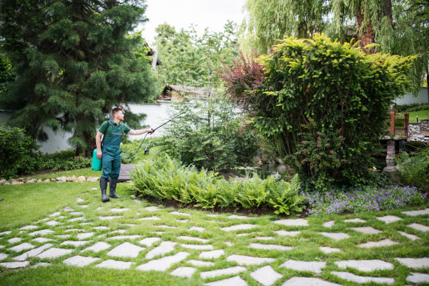 Best Local Pest Control Services  in Ballard, UT