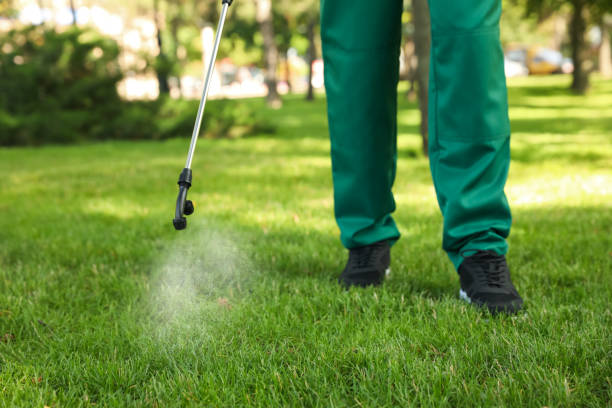 Best Best Pest Control Companies  in Ballard, UT