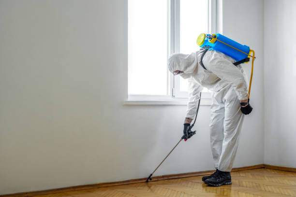 Pest Control for Restaurants in Ballard, UT