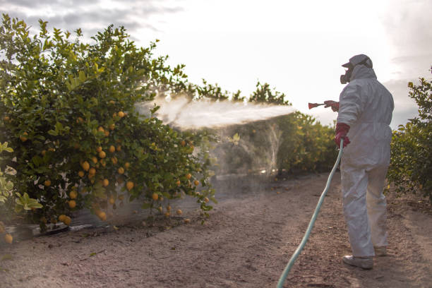 Best Exterminator Services  in Ballard, UT