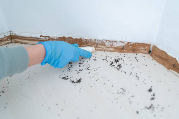 Best Pest Control for Restaurants  in Ballard, UT