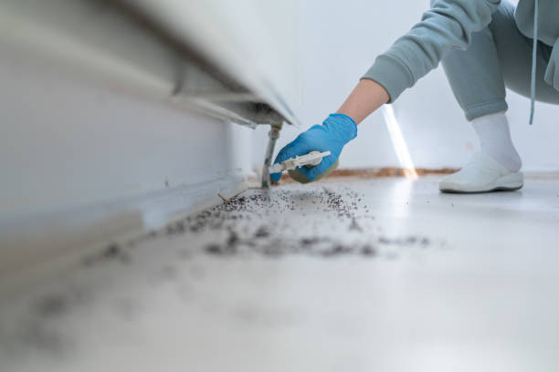 Best Commercial Pest Control Services  in Ballard, UT